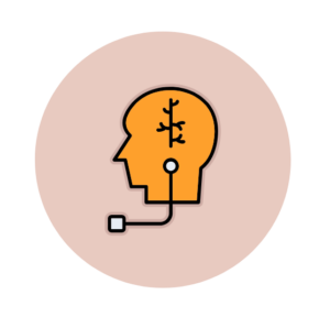 Co-Regulation. A detailed anatomical illustration of the vagus nerve, highlighting its role in emotional regulation and the connection between the brain and body.