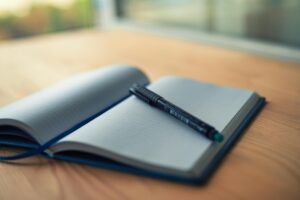 nervous system creates old stories