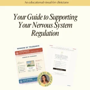 Window of Tolerance Teaching Chart | Clinician Psychoeducation Poster | Polyvagal Therapy Handout | Nervous System Regulation Diagram PDF