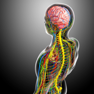 caring for your nervous system instead of rushing